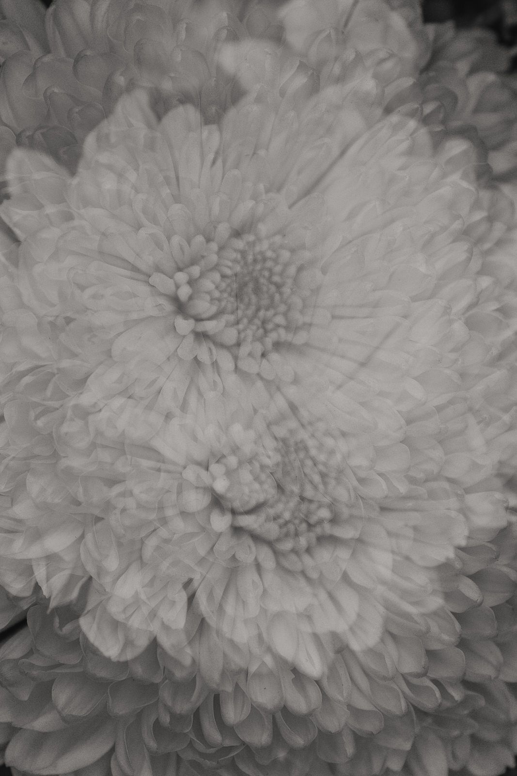 National Theatre London Wedding