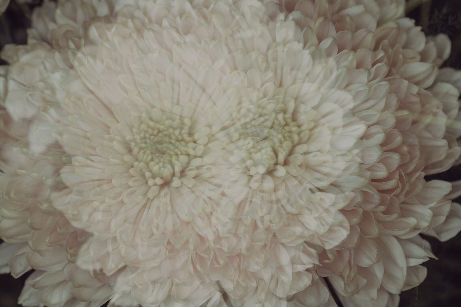 New Orleans Modern Wedding-75