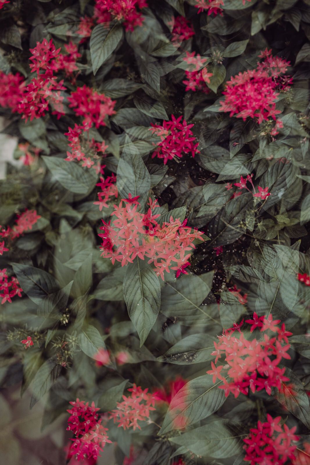 New Orleans Modern Wedding-80