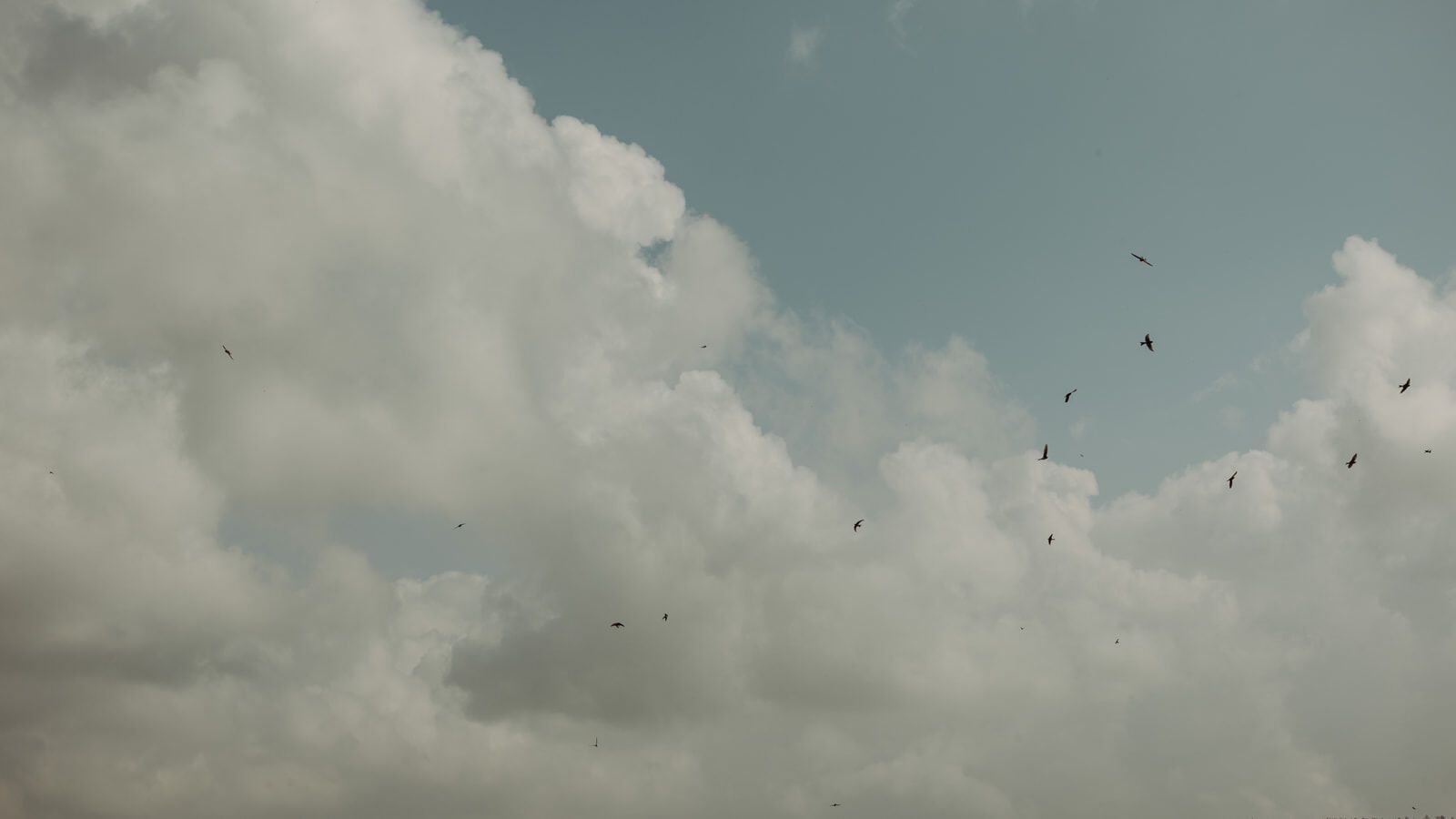 Modern Wedding Photojournalism